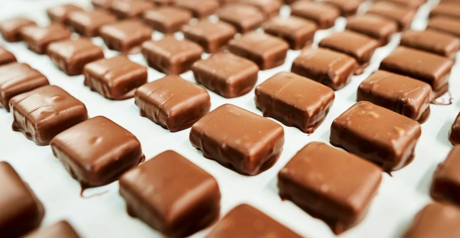 Deliciosos chocolates artesanais sentados em uma bandeja