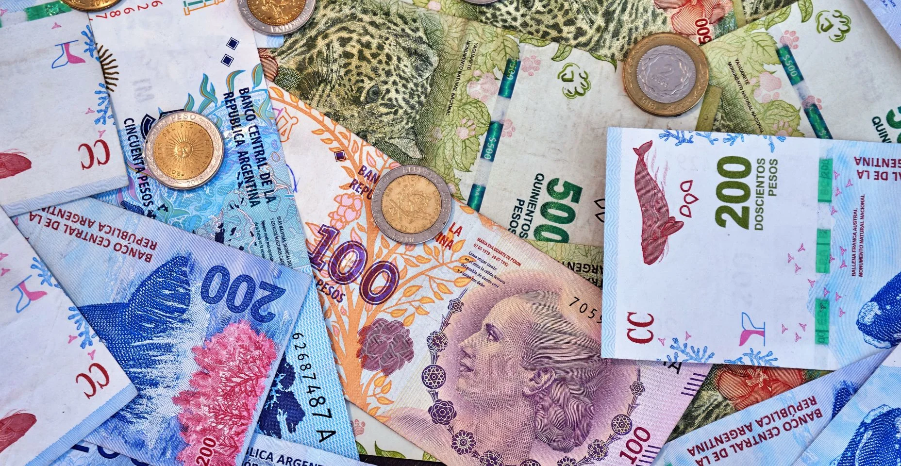 Notas e moedas de peso argentino