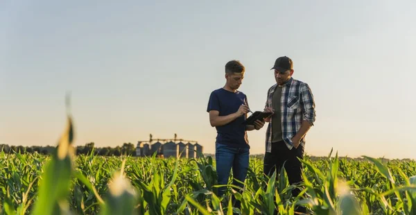 Agricultor e agrônomo do sexo masculino usando tablet digital enquanto está em pé no campo de milho contra o céu