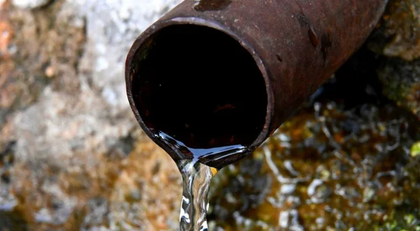 Water, source, source of life, essential for life, nutrient transport, waste elimination, hydration,