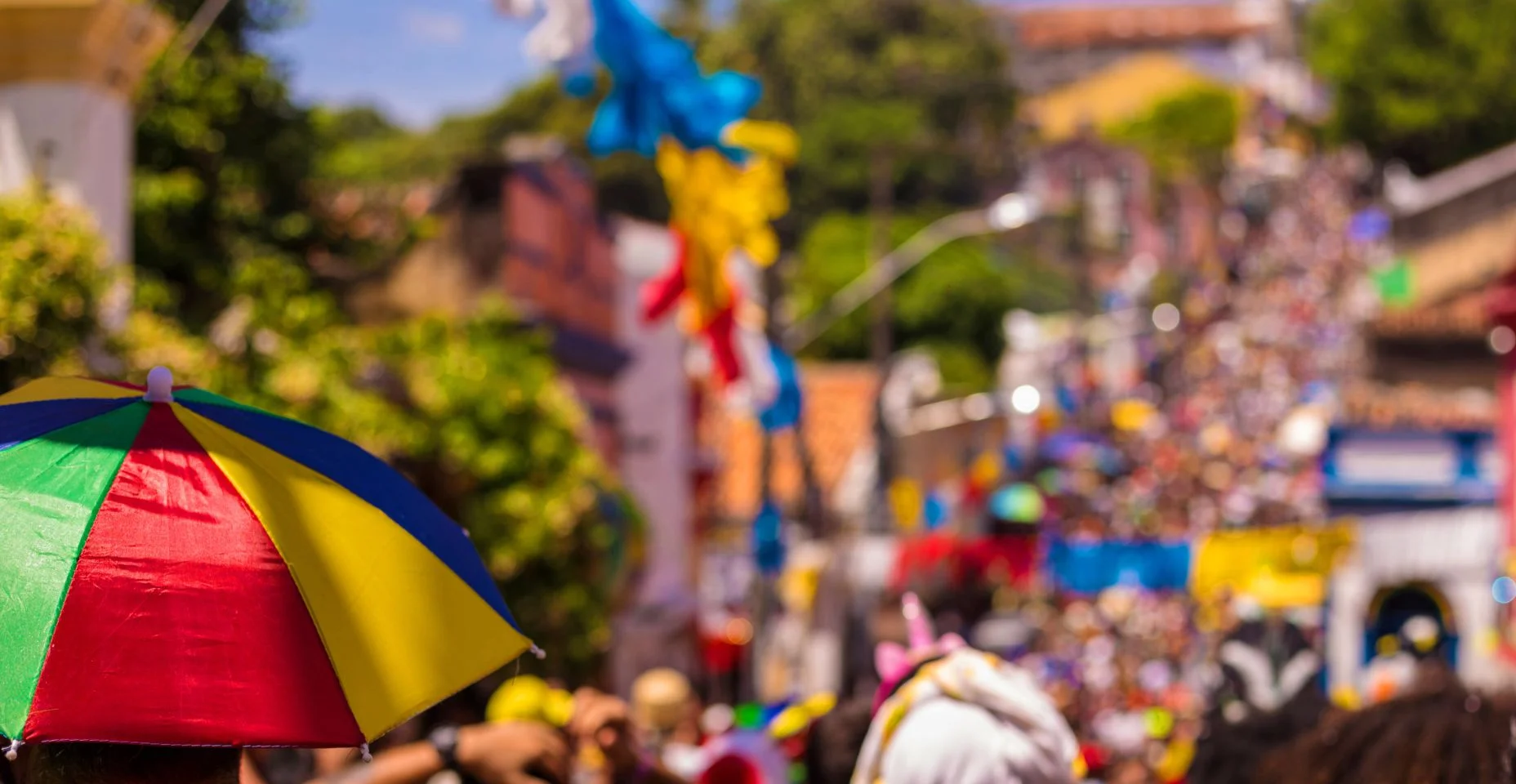 Carnaval no Brasil. A maior festa de rua do mundo