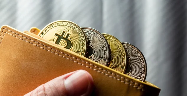 Mão segurando carteira cheia de tokens de Bitcoins. Criptomoedas ouro e prata com fundo desfocado.