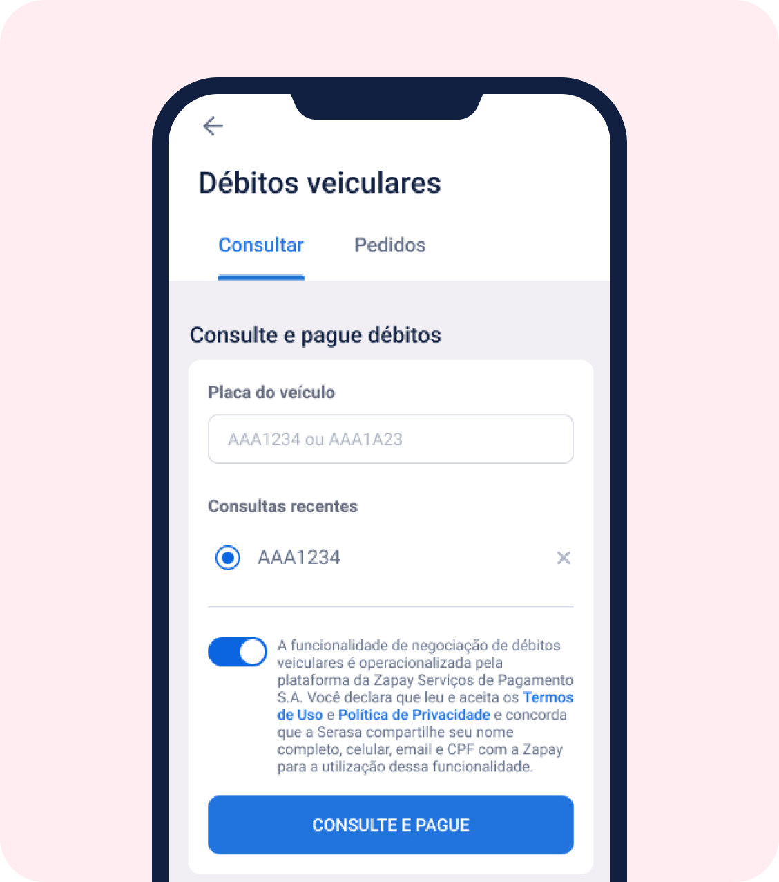 consultando a placa do carro