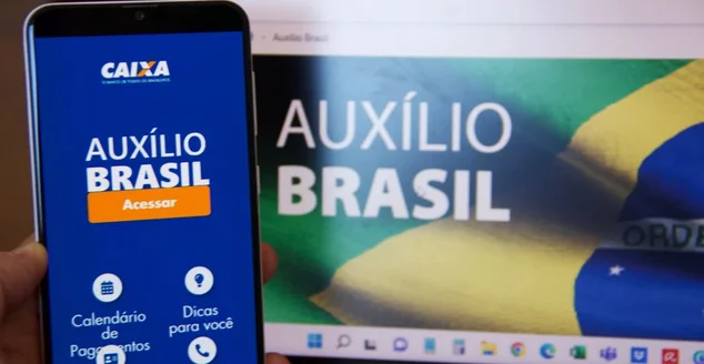 Aplicativo Programa Social Governo Federal Brasileiro