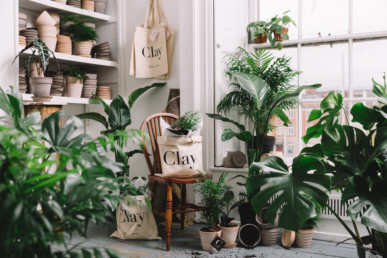 Our Botanic Studio, a unique indoor space filled with stunning indoor plants, handmade terracotta pots and indoor plant care accessories.