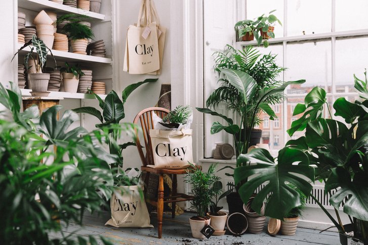 Our Botanic Studio, the Home of Clay: The Contemporary Botany Company.