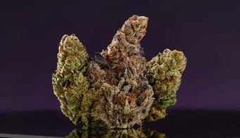 Enter a short descriptiom