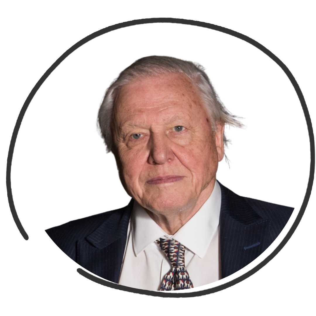 David Attenborough Avatar