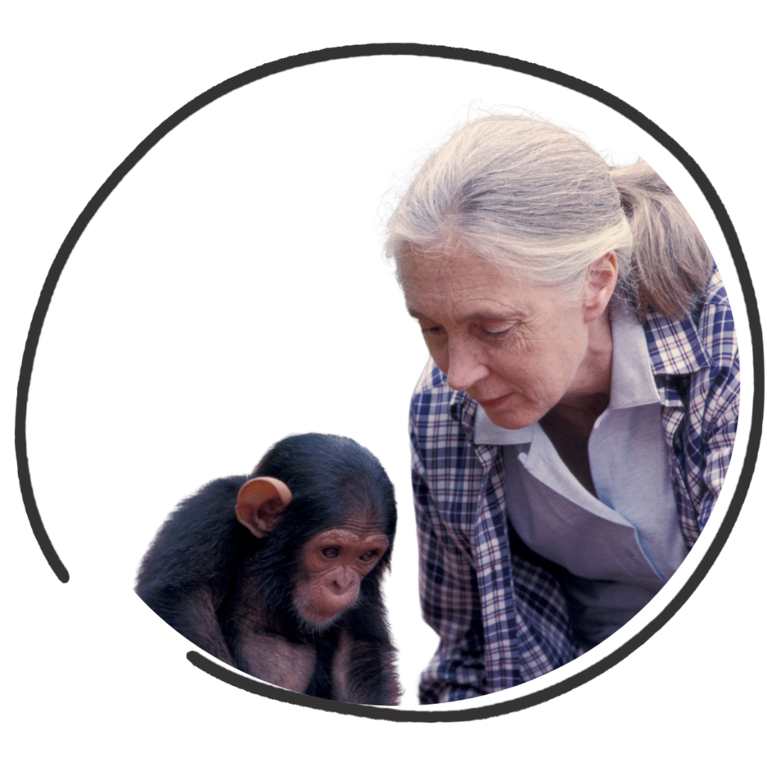 Jane Goodall Avatar