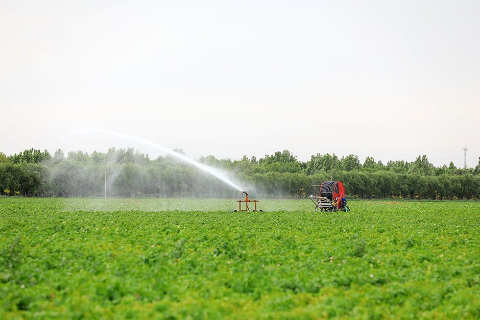 Sprinkler irrigation