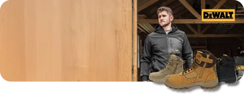 primary banner image