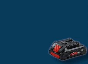 primary banner