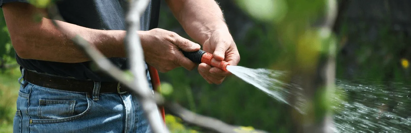Garden watering scene