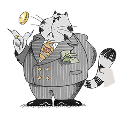 cat-image