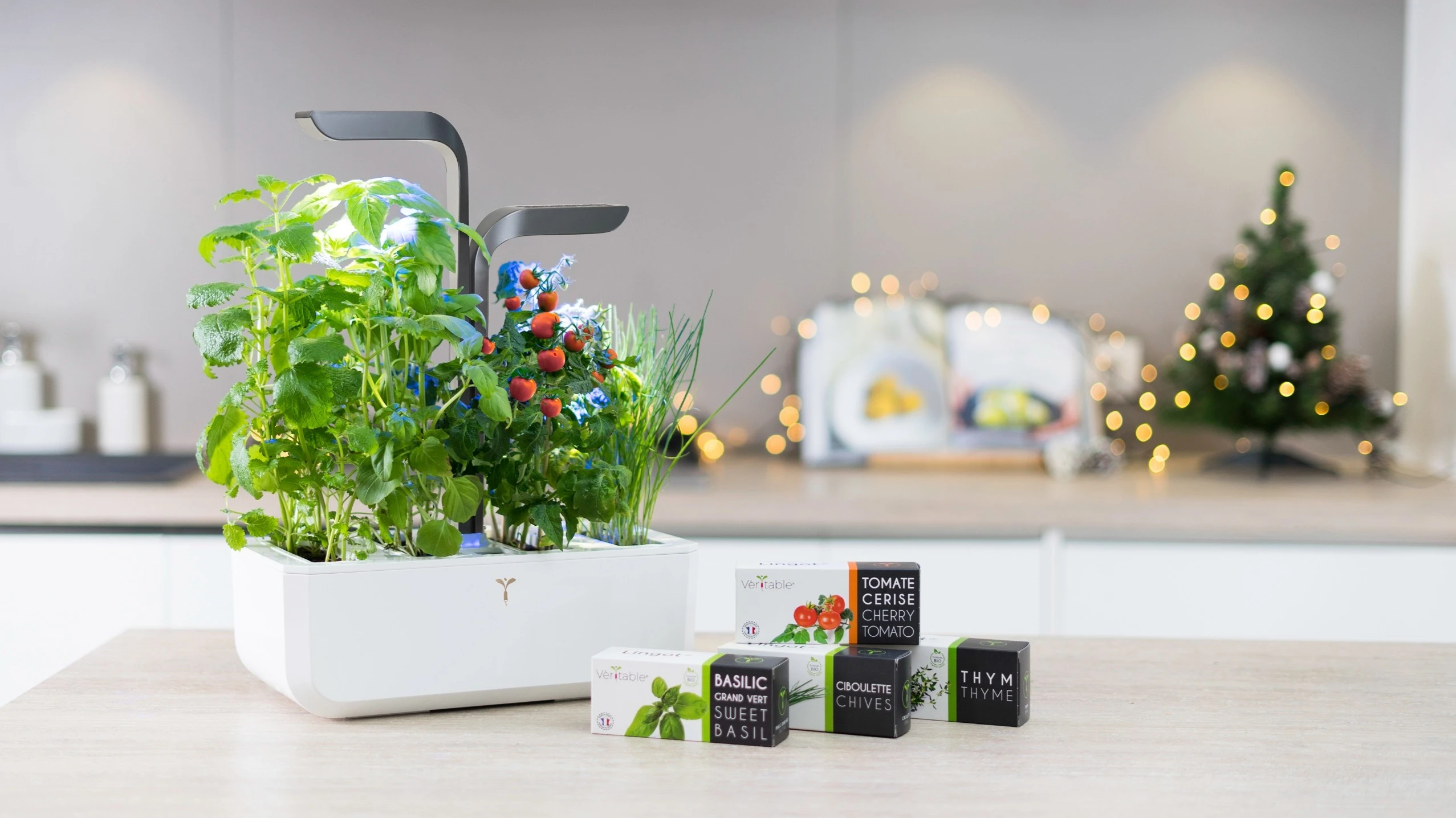 Véritable Indoor-Garten mit 4 Lingots®