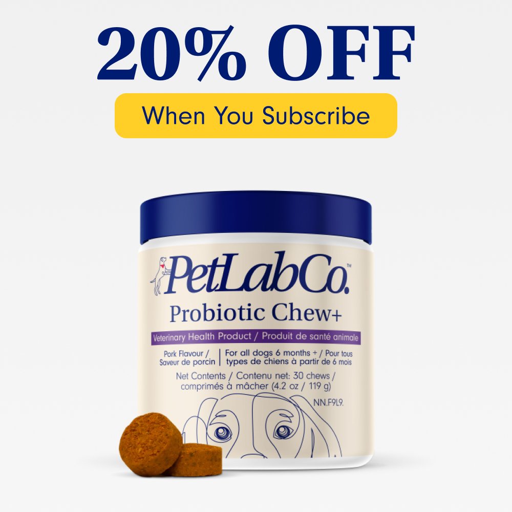 Probiotic chews subscription
