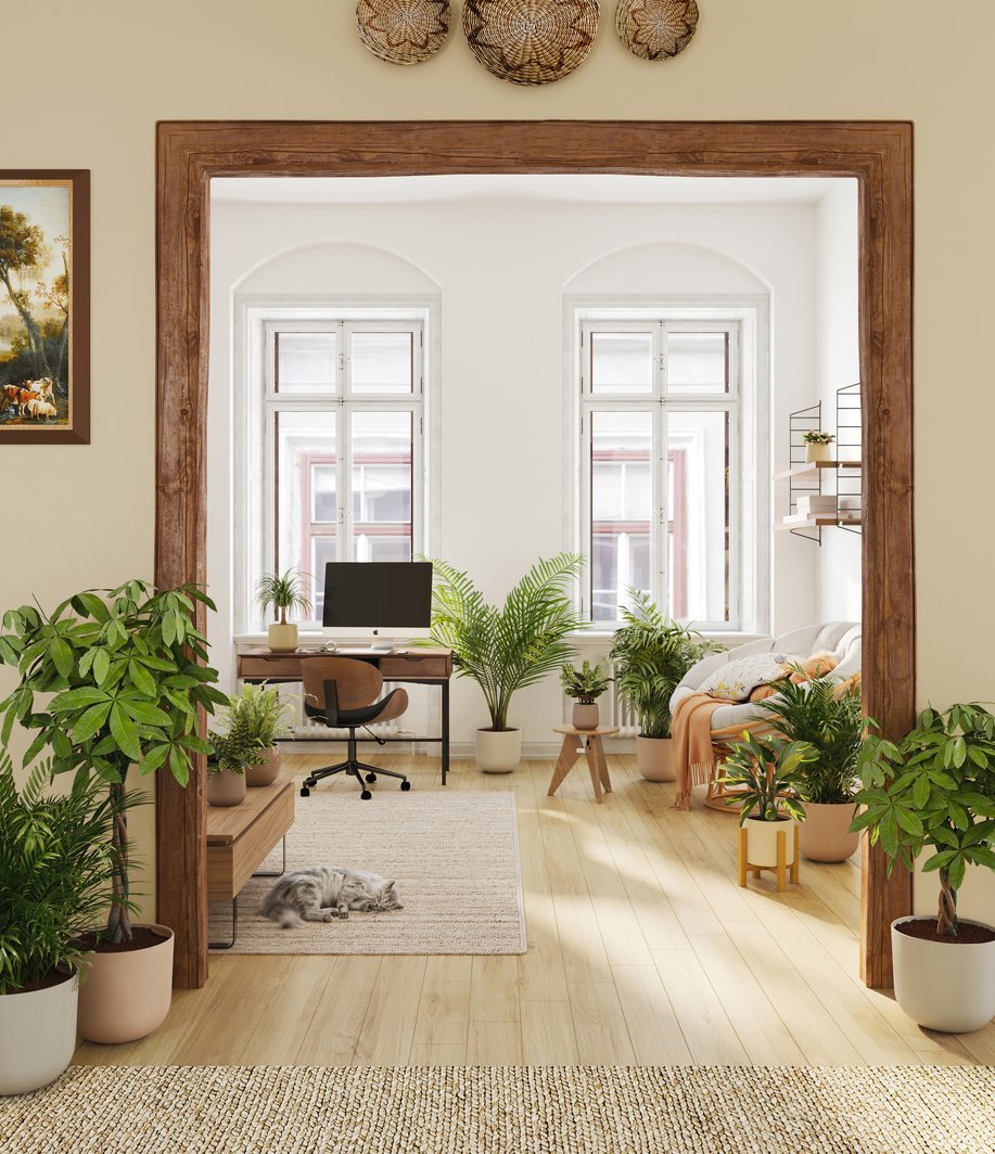 The Exotic Sanctuary collection