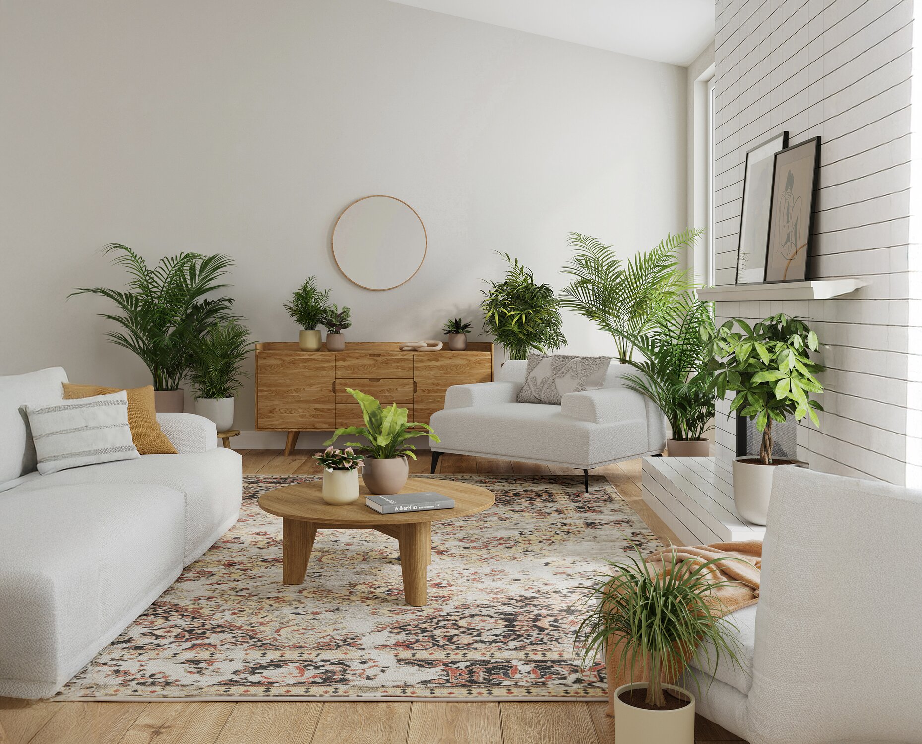 The Best Houseplants for Air Purification easyplant