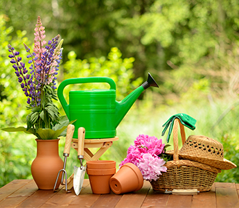 Garden Tools