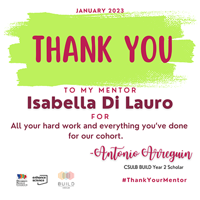 Thank You letter to mentor Isabella Di Lauro from CSULB BUILD Scholar Antonio Arreguin