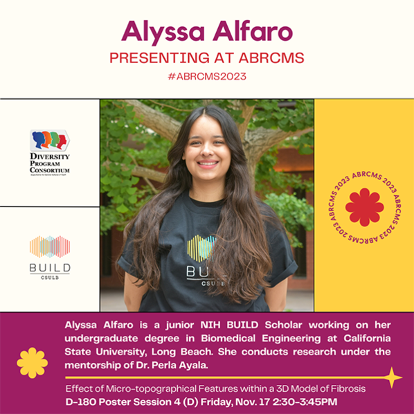 Alyssa Alfaro is a junior NIH BUILD Scholar working on her undergraduate degree in Biomedical Engineering at California State University, Long Beach. She conducts research under the mentorship of Dr. Perla Ayala.