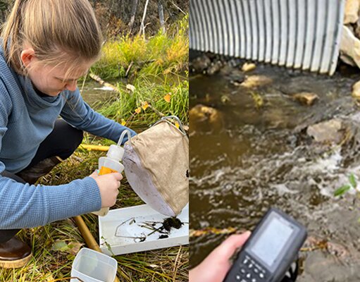 Maggie House collecting macroinvertebrate samples and monitoring water flow at Cripple Creek.