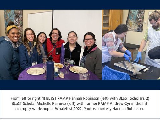 Collage of 2 images: 1) BLaST RAMP Hannah Robinson standing at a reception with five BLaST students smiling. 2) Student Michelle Ramirez wears latex gloves and proper PPE to cut open a salmon for dissection with mentor Andrew Cyr standing next to her at the table giving directions.