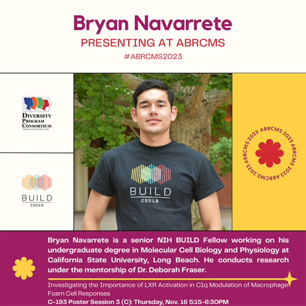 Bryan Navarrete is a senior NIH BUILD Fellow working on his undergraduate degree in Molecular Cell Biology and Physiology at California State University, Long Beach. He conducts research under the mentorship of Dr. Deborah Fraser.