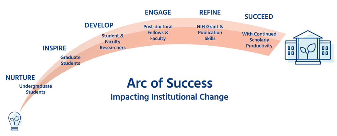 6 Stages in the Arc of Success:  1: Nurture Undergraduate Students, 2: Inspire Graduate Students, 3: Develop Student & Faculty Researchers, 4: Engage Post-doctoral Fellows & Faculty 5: Refine NIH Grant & Publication Skills 6: Succeed With Continued Scholarly Productivity 