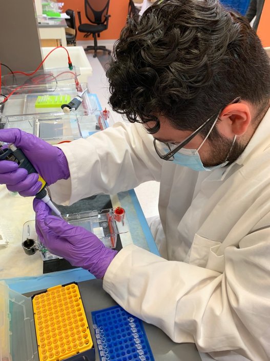 Lorenzo Ramirez in the lab wearing a mask, performing gel electrophoresis to determine the genotype of tissue specific knockout mice.