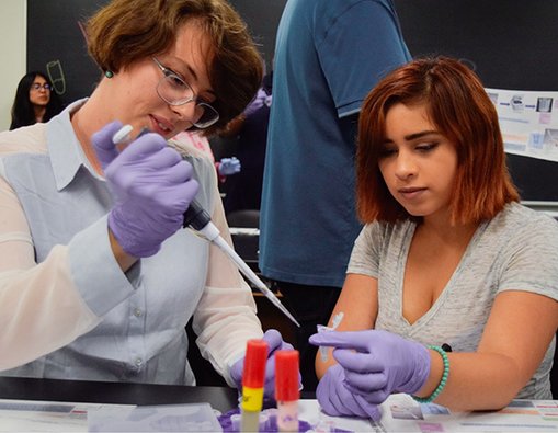 BUILD PODER scholars Mehrnaz Siovashi and Andrea Canahui practice pipetting during their first summer research training experience at California State University, Northridge in 2017.