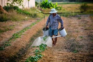 El agua que se almacena por medio de la captación de agua pluvial se puede utilizar para las actividades de limpieza en el hogar, para dar mantenimiento al jardín, para el servicio del baño, entre otras actividades de uso doméstico