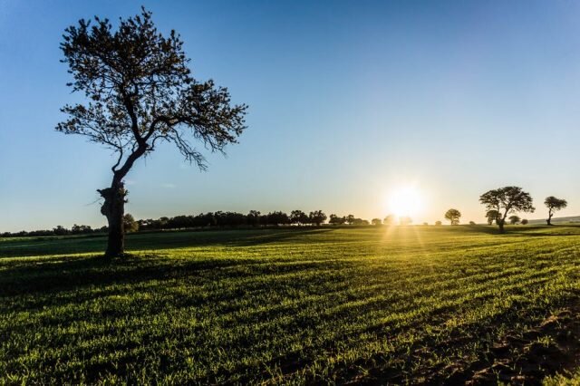 Hoy en día debemos cuidar el medio ambiente y el agua es un recurso no renovable, de ahí la importancia de la captación de agua pluvial para aprovechar al máximo este recurso además de lograr ahorros significativos