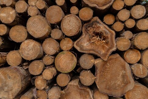 Bronsø thermo wood cladding at Bravida HQ