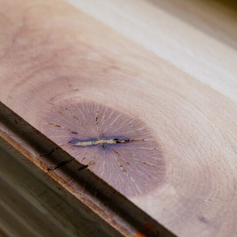 Bronsø thermo wood cladding at Bravida HQ