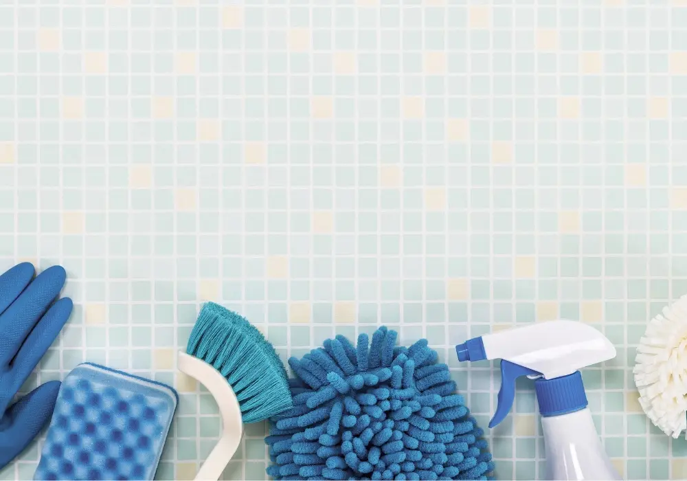 Your Non-Toxic Home Cleaning: Top 10 Chemicals Ingredients to Avoid in Cleaning Products 