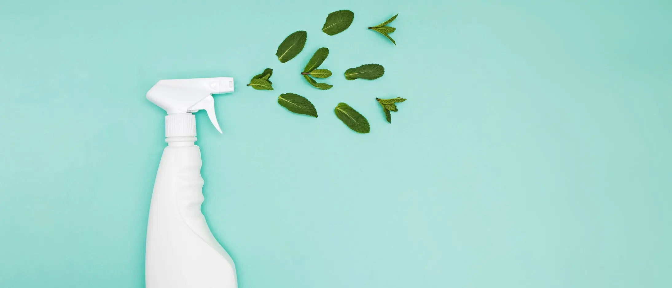 The Truth About Greenwashing in Cleaning Products