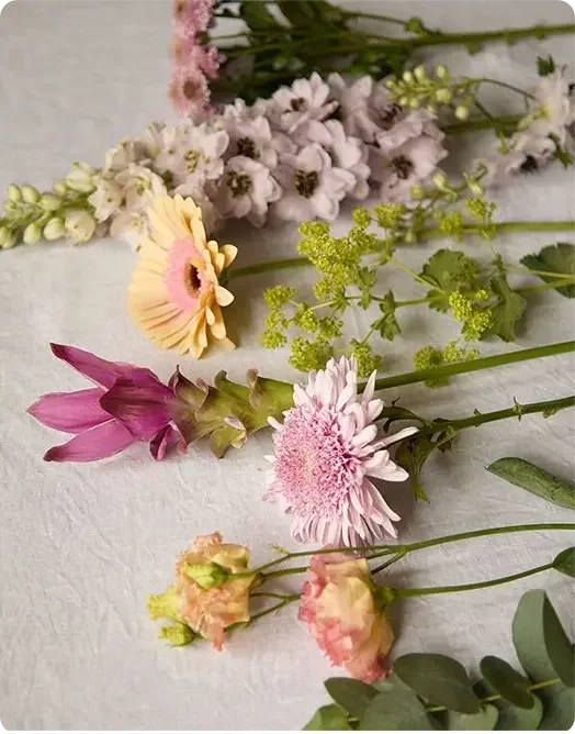 The flowers