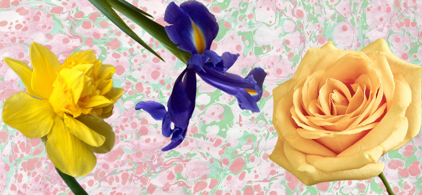 Find out more about flowers for an anniversary by year. Whether you’re celebrating 10 years or looking for silver wedding anniversary flowers, find out more here.