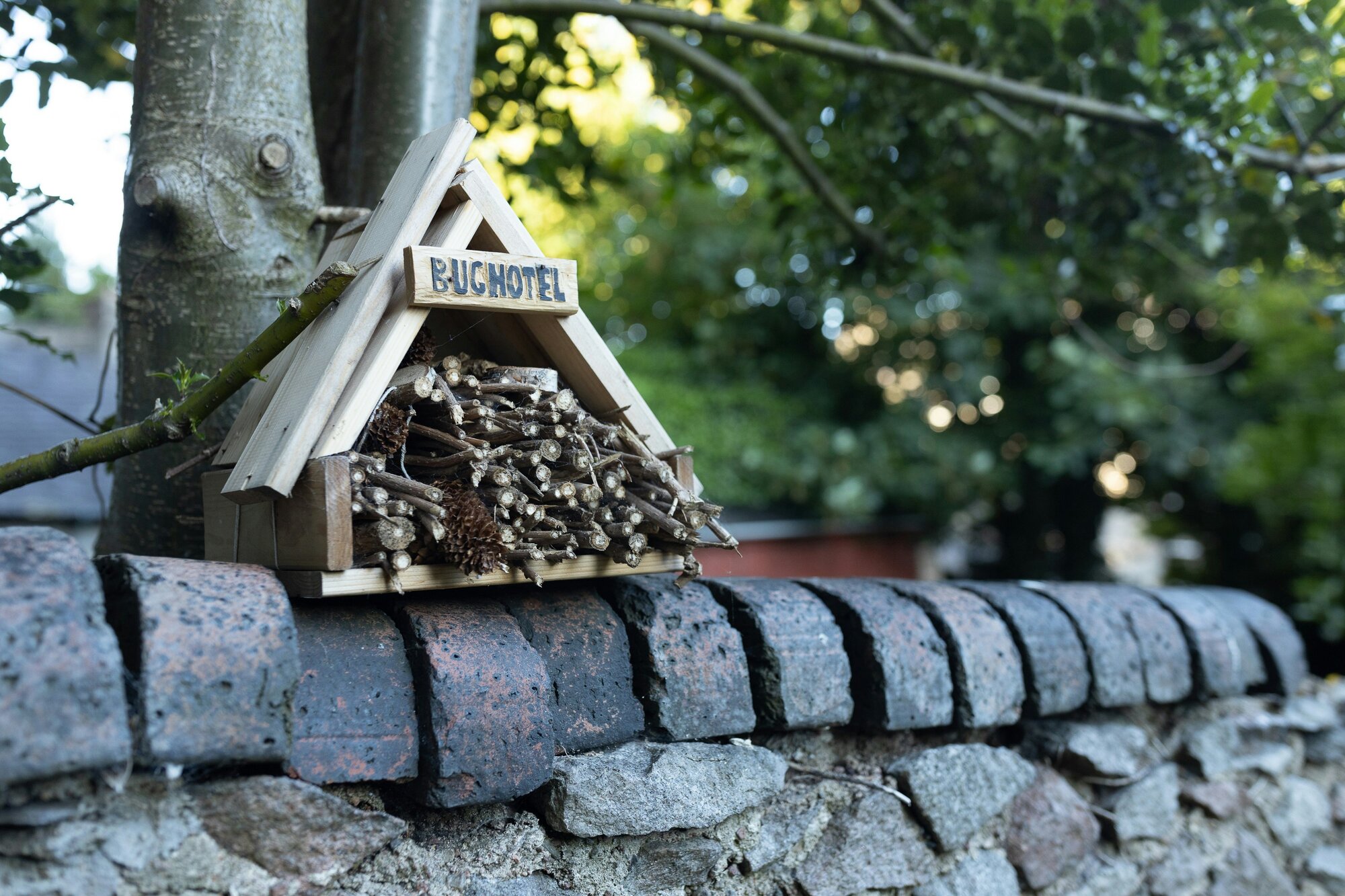 A bug hotel in a garden. Photo by Seema Miah on Unsplash