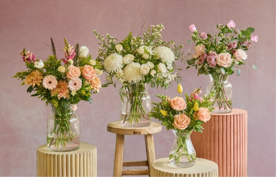 Blumen & Pflanzen