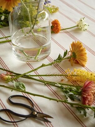 Wo unsere Blumen herkommen