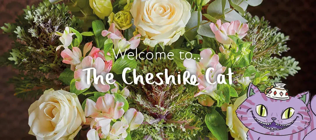 Cheshire Cat Flowers: Everything you need to know