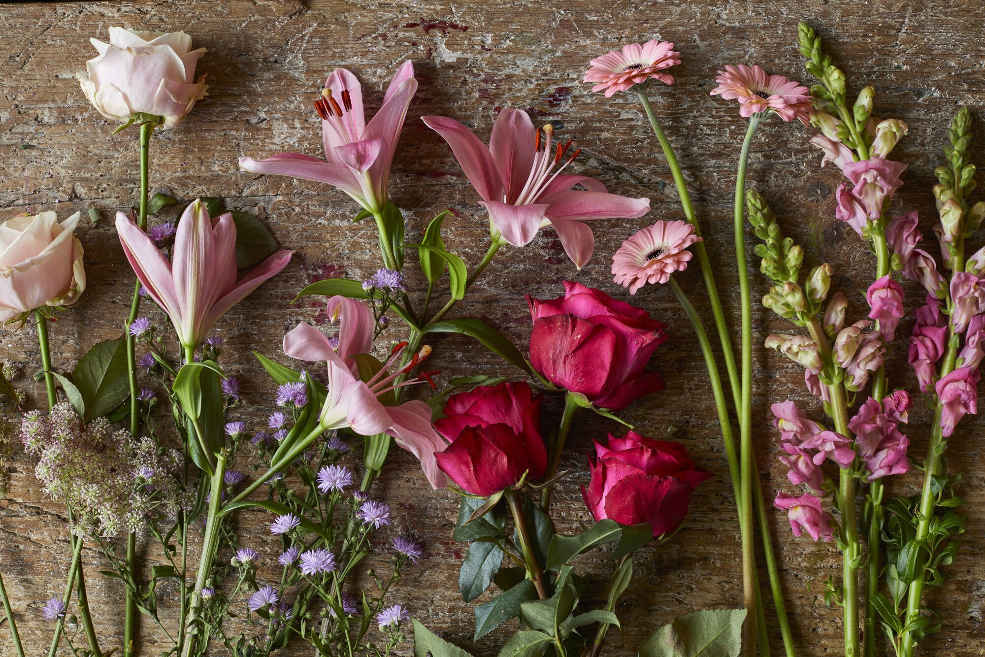 Loving your Valentine’s Day Flowers? Our care guide has all the tips and tricks so you can enjoy your romantic blooms longer. 