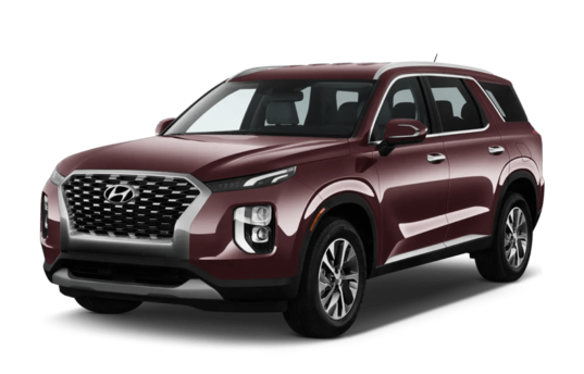 Roam Hyundai Palisade vehicle image