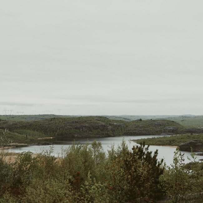 Roam and veritree Sudbury restoration project