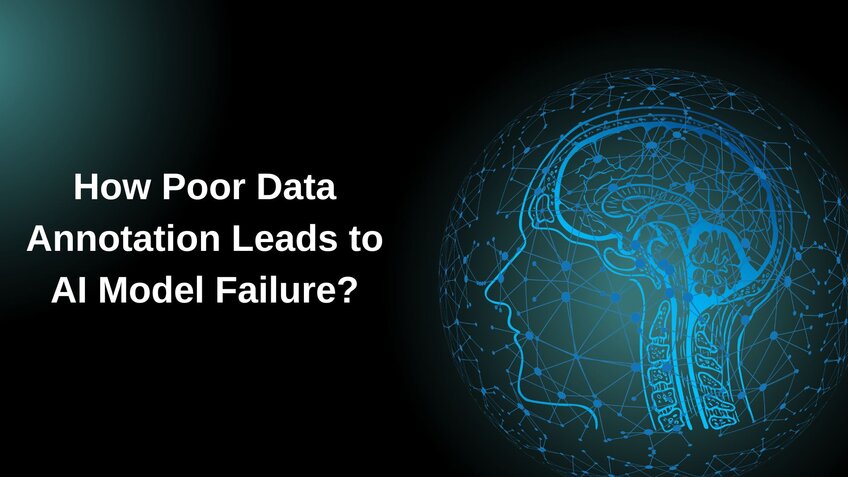 How Poor Data Annotation Leads to AI Model Failure?