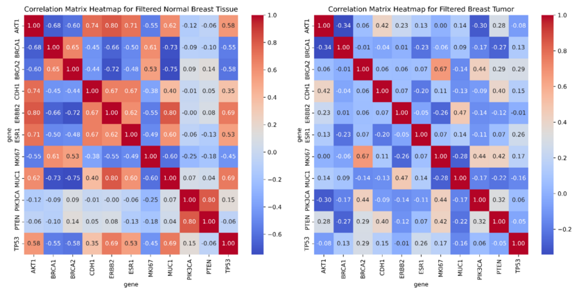 Heatmaps visualizing correlation matrixes for filtered datasets