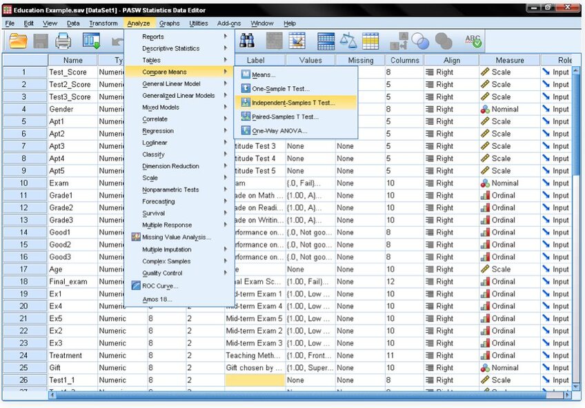 Independent Samples T Test in SPSS