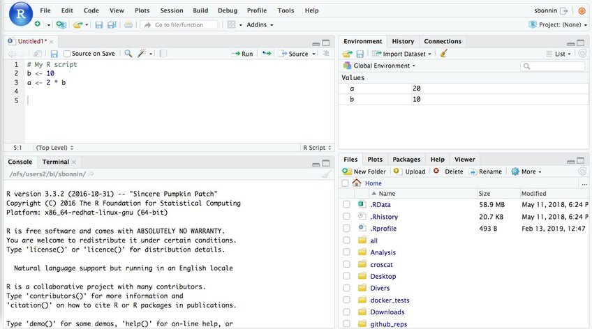 RStudio interface screenshot showing the statistical analysis software tool